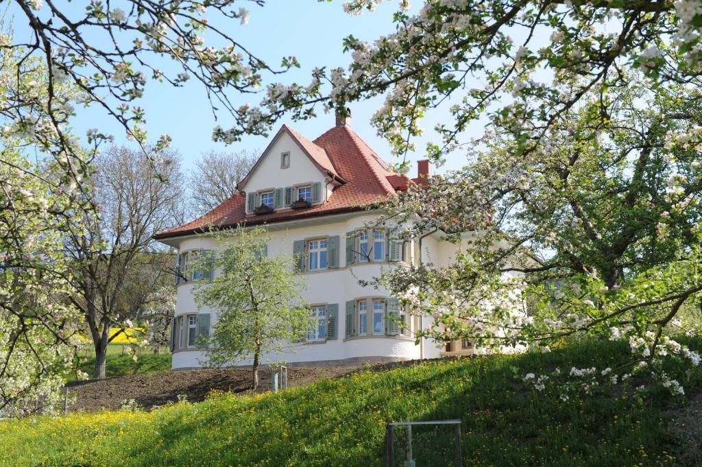 Gasthaus Schwanen & Villa Pfarrhus Stuhlingen Δωμάτιο φωτογραφία